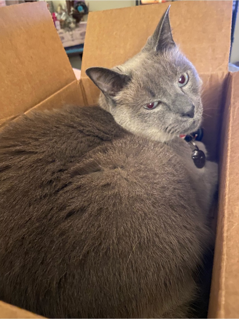 Extra Shipping Label